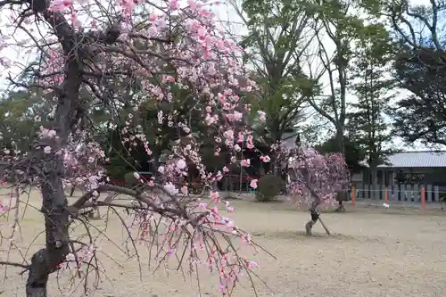 美奈宜神社の建物その他