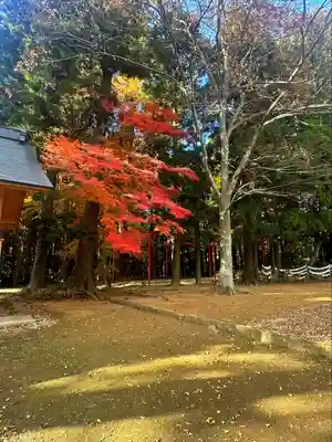 陸奥総社宮(宮城県)