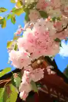 志波彦神社・鹽竈神社の自然