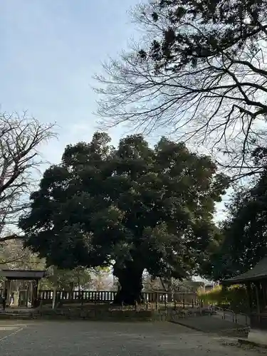 一之宮貫前神社(群馬県)