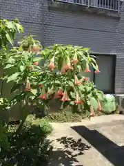 小梳神社の自然