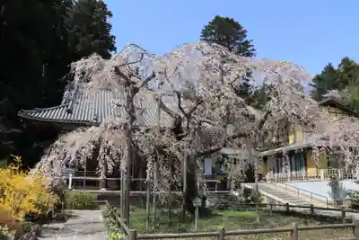太山寺(栃木県)