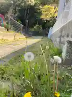 菅原神社の自然