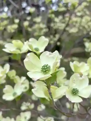 蚊里田八幡宮(長野県)