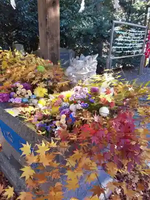 滑川神社 - 仕事と子どもの守り神の手水舎