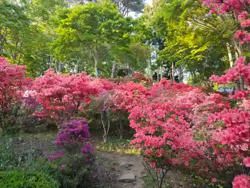 本輪西八幡神社(北海道)