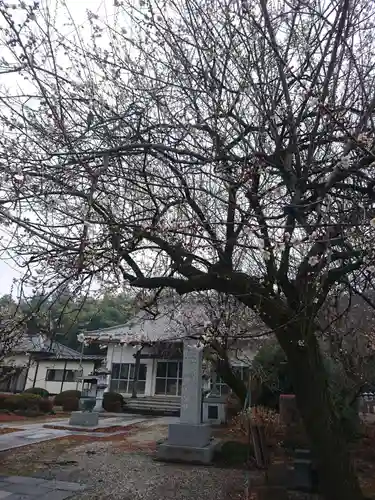 智音寺の本殿