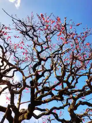 鳳林寺(東京都)