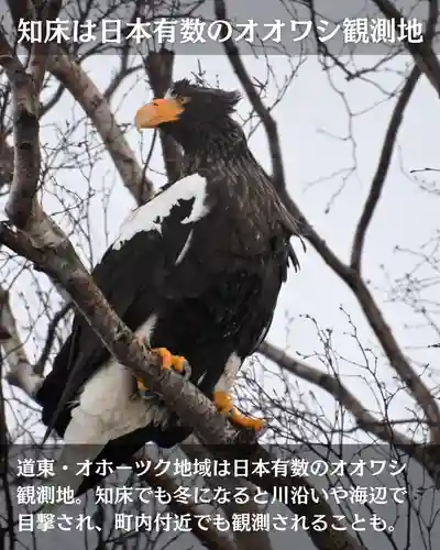宝光寺(北海道)