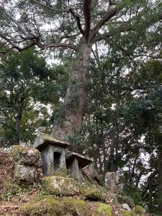 石堂原八幡神社の自然