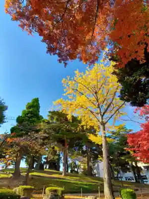 麓山神社の自然