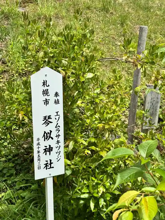 土津神社|こどもと出世の神さま(福島県)
