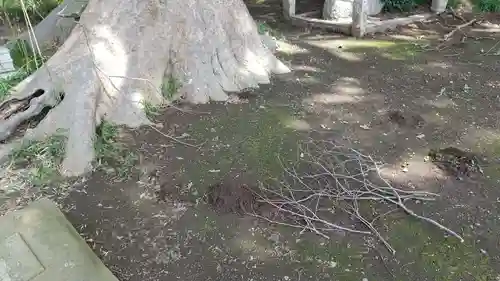 酒門神社(茨城県)