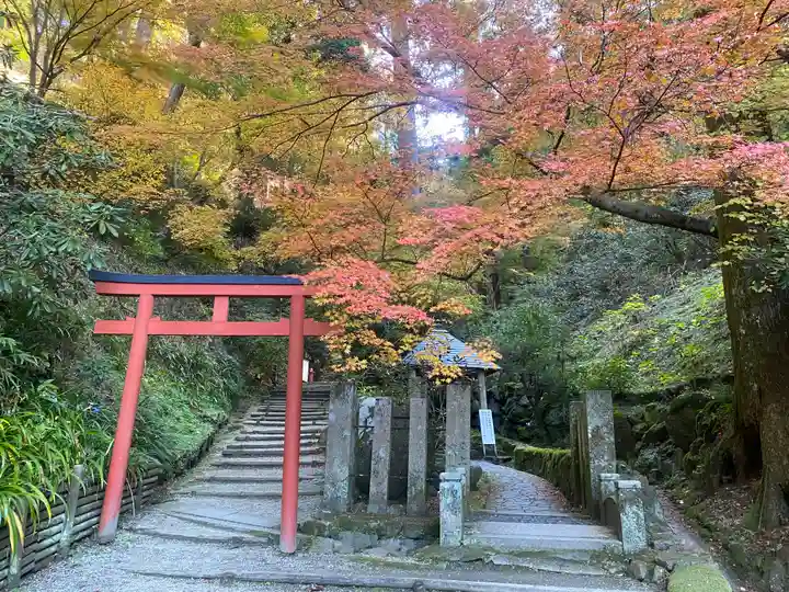 岡寺(龍蓋寺)(奈良県)