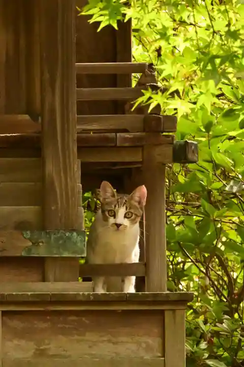 城上神社(島根県)