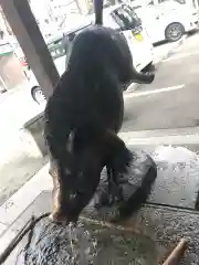 護王神社の狛犬