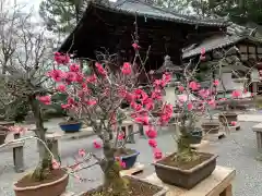 石山寺の庭園