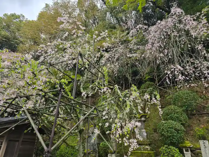 慈尊院(和歌山県)