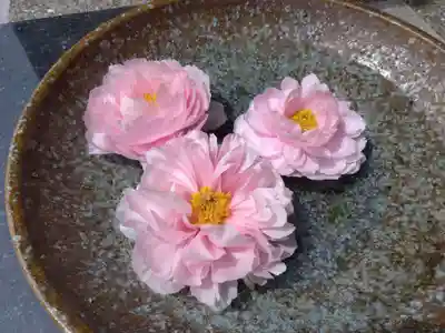 安養寺(福井県)