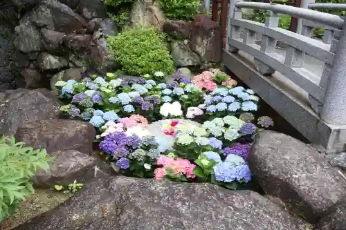 岡寺（龍蓋寺）(奈良県)