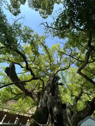 大山祇神社(愛媛県)