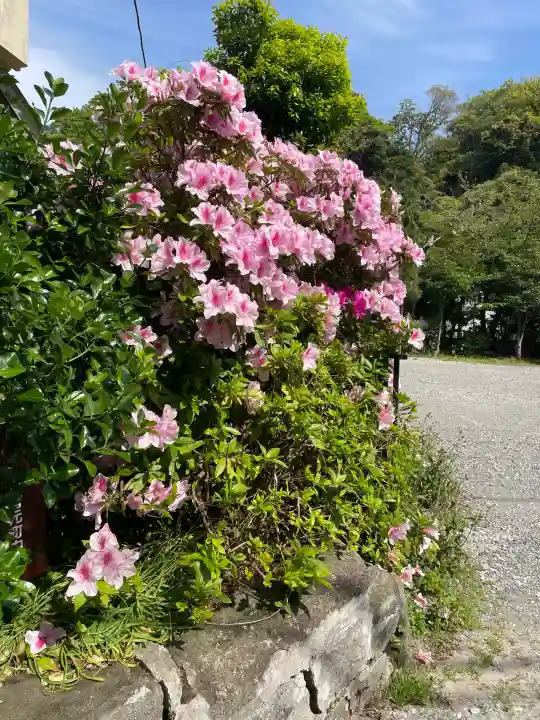 子之神社の{uncategorized: "未分類", other: "その他", undefined: "問題あり", building: "その他建物", grave: "お墓", sacred_gate: "鳥居", guardian: "狛犬", statue: "像", buddha: "仏像", history: "歴史", nature: "自然", garden: "庭園", animal: "動物", pagoda: "塔", temizu: "手水舎", mountain_gate: "山門・神門", sanctuary: "本殿・本堂", subordinate: "末社・摂社", art: "芸術", scenery: "景色", jizo: "地蔵", ema: "絵馬", goshuin: "御朱印", omikuji: "おみくじ", items: "授与品その他", amulet: "お守り", goshuincho: "御朱印帳", eats: "食事", festival: "お祭り", votive_dance: "神楽", shichigosan: "七五三参", wedding: "結婚式", experience: "体験その他", initially: "初詣", around: "周辺", anti_infection: "感染症対策"}