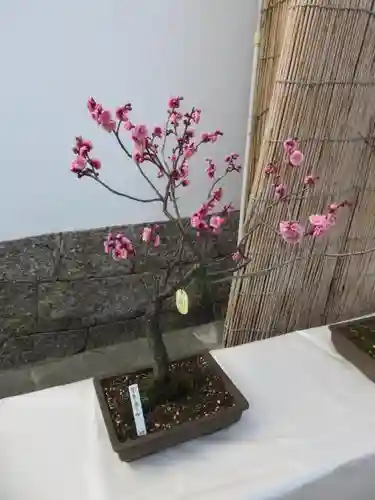 菅原天満宮（菅原神社）の自然