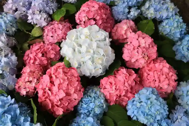 田村神社の手水舎