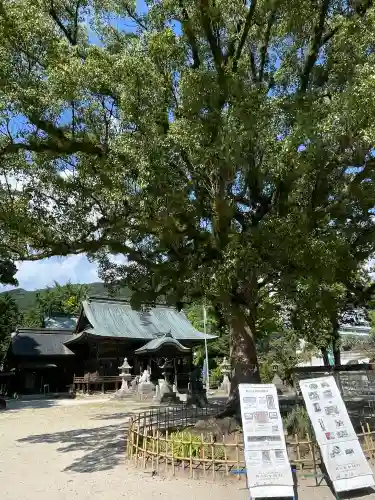 與止日女神社の{uncategorized: "未分類", other: "その他", undefined: "問題あり", building: "その他建物", grave: "お墓", sacred_gate: "鳥居", guardian: "狛犬", statue: "像", buddha: "仏像", history: "歴史", nature: "自然", garden: "庭園", animal: "動物", pagoda: "塔", temizu: "手水舎", mountain_gate: "山門・神門", sanctuary: "本殿・本堂", subordinate: "末社・摂社", art: "芸術", scenery: "景色", jizo: "地蔵", ema: "絵馬", goshuin: "御朱印", omikuji: "おみくじ", items: "授与品その他", amulet: "お守り", goshuincho: "御朱印帳", eats: "食事", festival: "お祭り", votive_dance: "神楽", shichigosan: "七五三参", wedding: "結婚式", experience: "体験その他", initially: "初詣", around: "周辺", anti_infection: "感染症対策"}