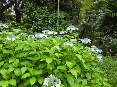 大庭神社(神奈川県)