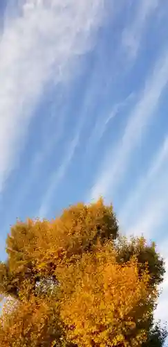 青龍神社の自然