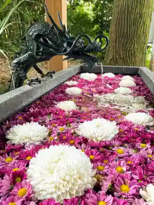 下野 星宮神社の手水舎