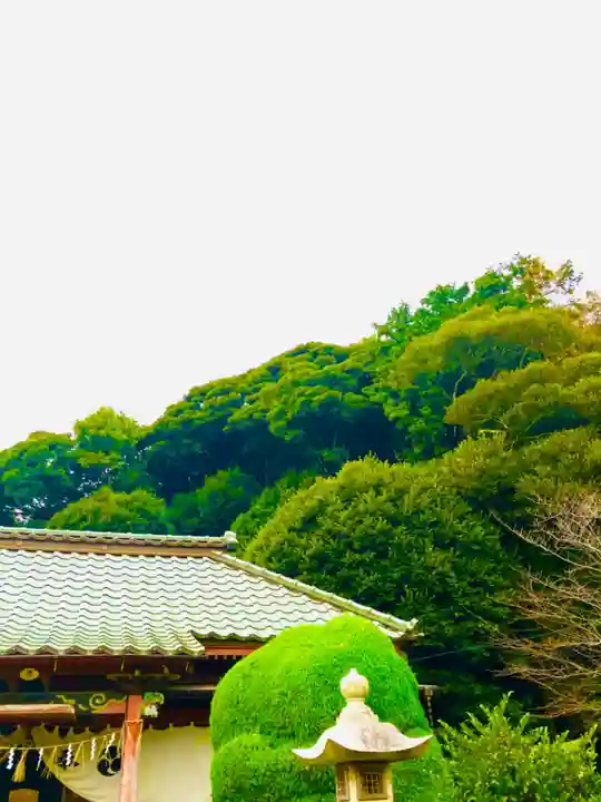 冨士浅間神社(茨城県)