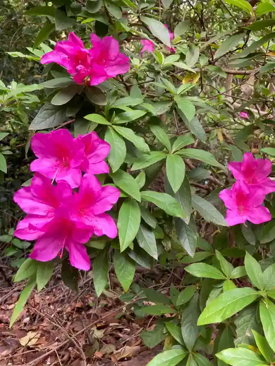 多治速比売神社の庭園