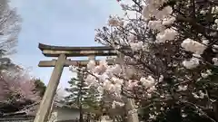 御香宮神社(京都府)