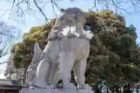 島田八坂神社の狛犬