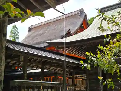 土佐神社(高知県)