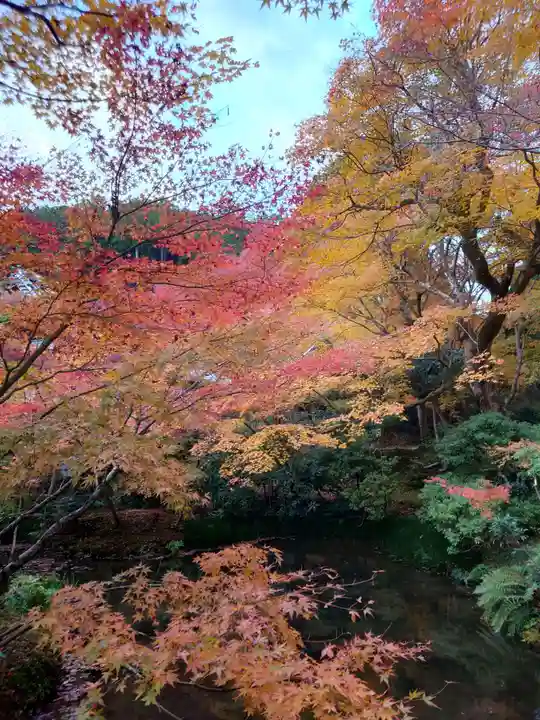 圓光寺(京都府)