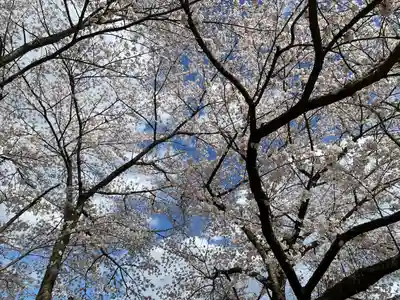 笹八木社(子檀嶺神社境内社)(長野県)