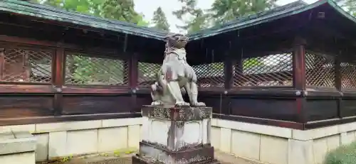 上杉神社の狛犬