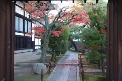 退耕庵(京都府)