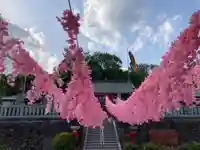 寺岡山元三大師(栃木県)