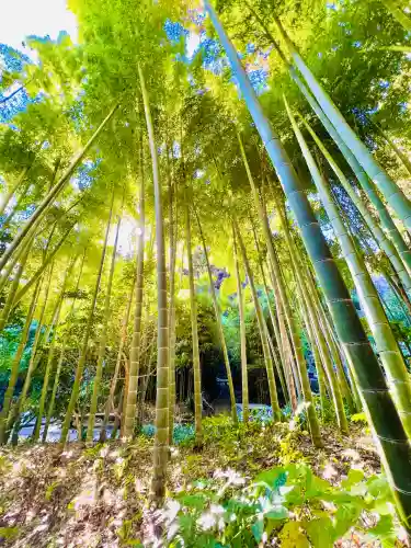 浄智寺(神奈川県)