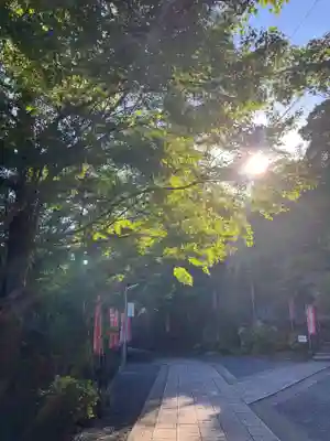 救馬溪観音(和歌山県)