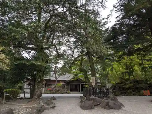 霧島神宮(鹿児島県)