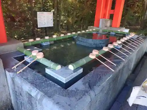 宇佐神宮(大分県)