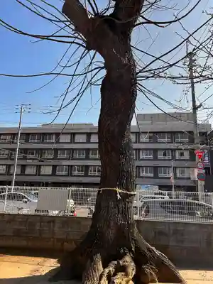 金山神社(香川県)