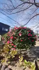 善光寺東海別院（祖父江善光寺）(愛知県)