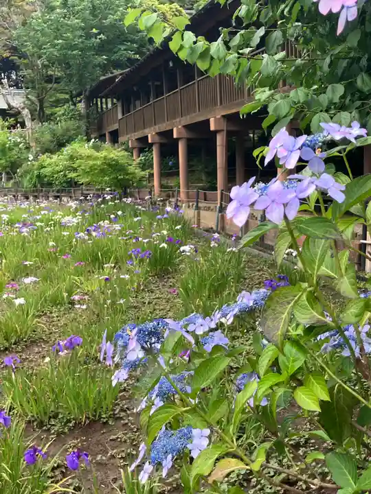 本土寺(千葉県)