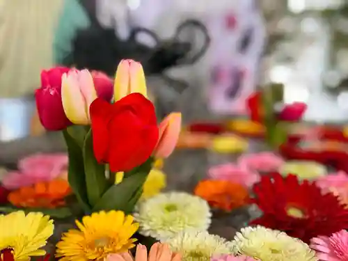 札幌諏訪神社の手水舎